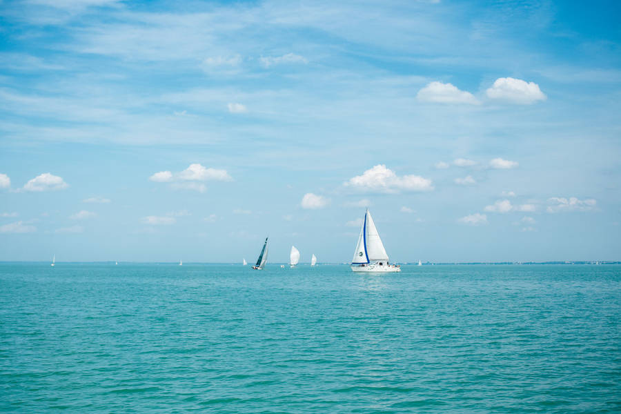 Blue And White Sailing Wallpaper