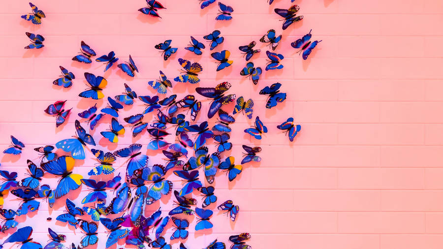 Blue Butterfly Kaleidoscope Wallpaper