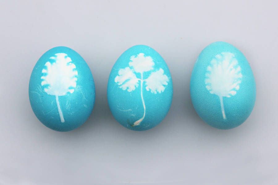 Blue Easter Eggs Wallpaper