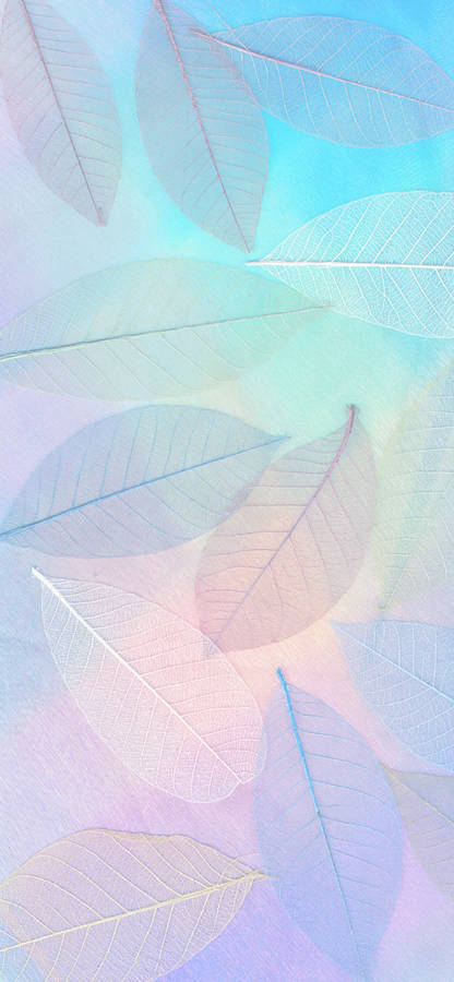 Blue Pastel Aesthetic Rainbow Leaves Wallpaper