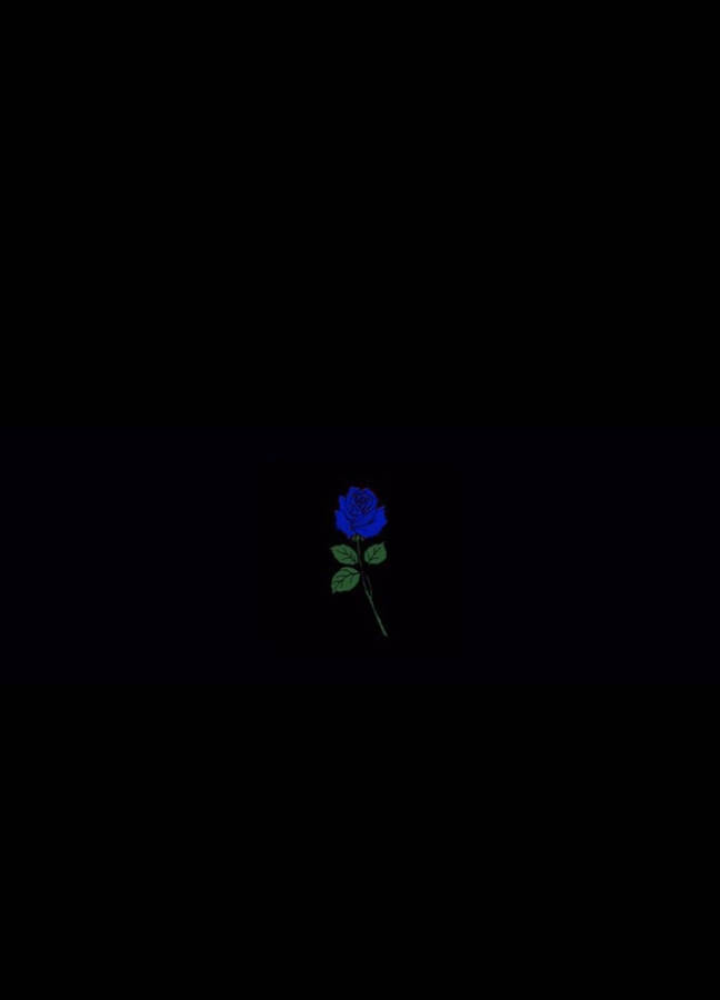 Blue Rose Black Aesthetic Tumblr Iphone Wallpaper