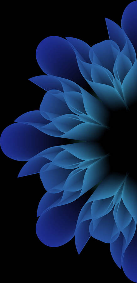 Blue Roses On Samsung Galaxy Note 7 Wallpaper