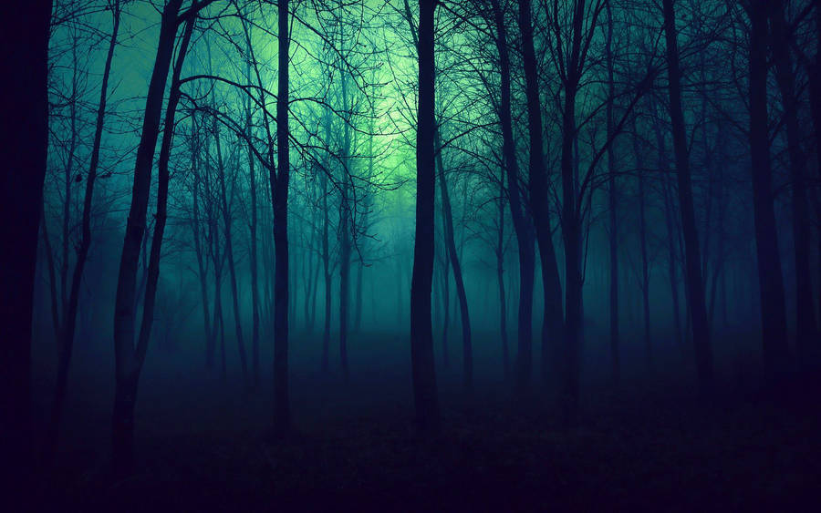 Blue-tinted Ominous Forest Wallpaper