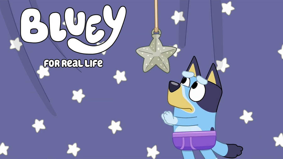 Bluey Wishing On Hanging Star Wallpaper