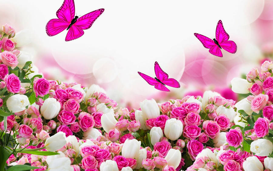 Blumen Digital Artwork Wallpaper