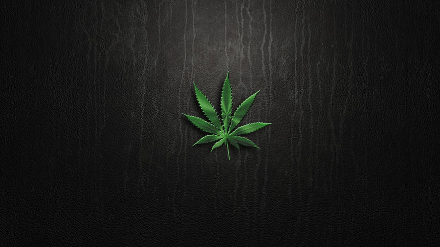 Blunt Weed Plant On Dark Wood Background Wallpaper