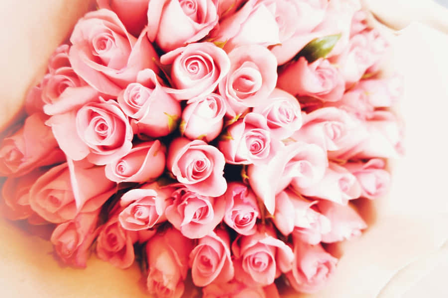 Blushing Pink Roses Bouquet Wallpaper