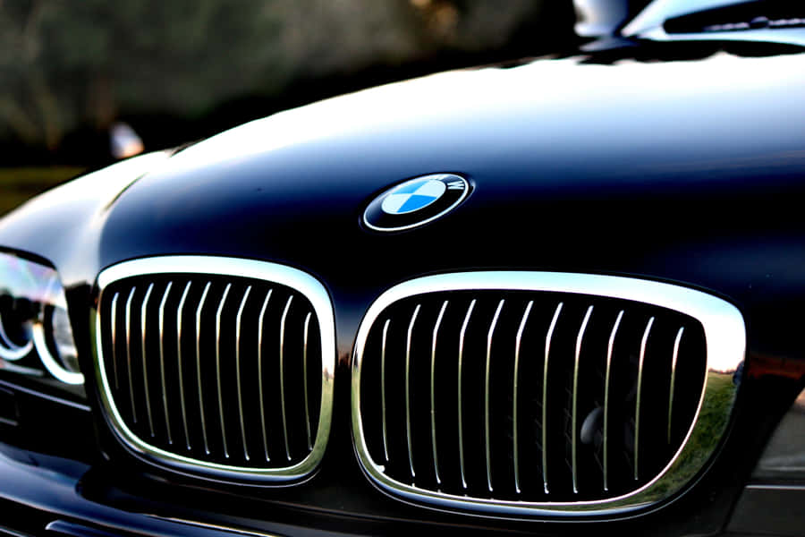 Bmw Logo Wallpaper