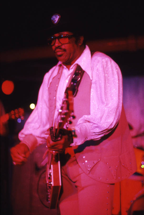 Bo Diddley On Pink Light Wallpaper