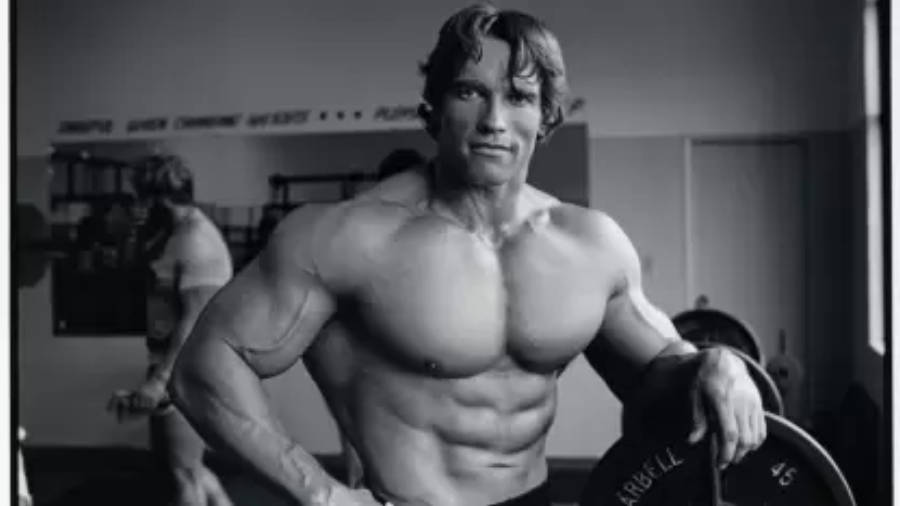 Bodybuilder Arnold Schwarzenegger Hd Wallpaper