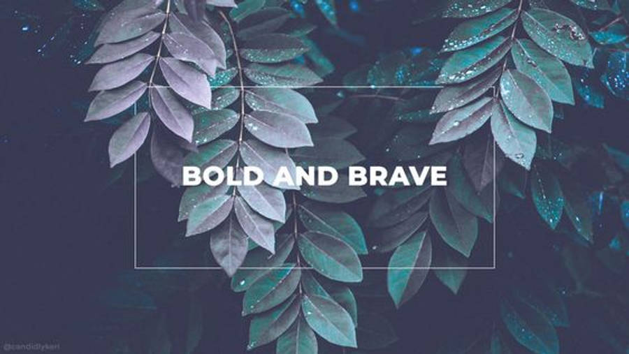 Bold And Brave Facebook Cover Wallpaper