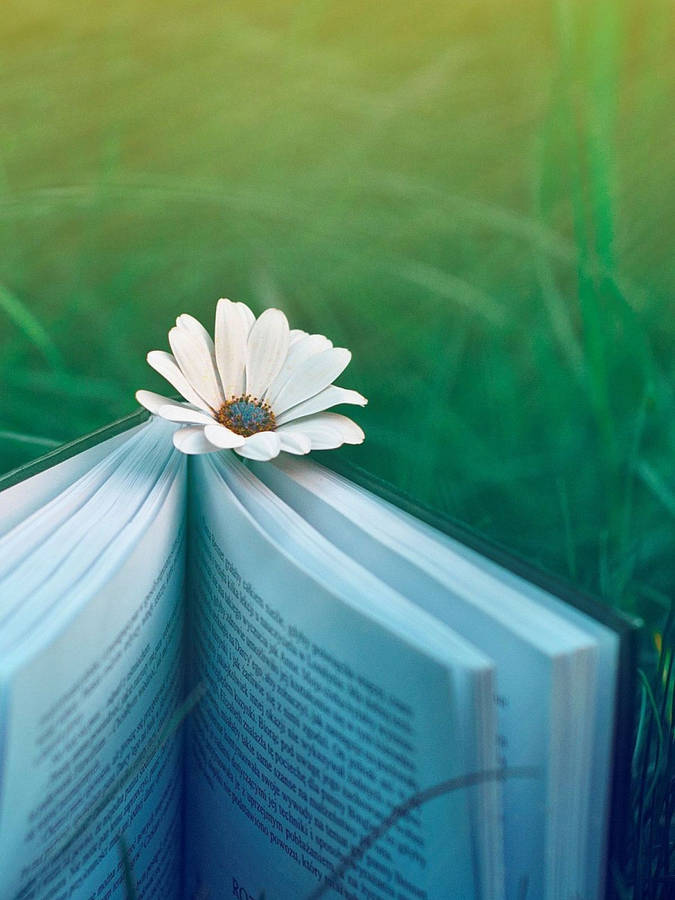 Book Aesthetic In Fields Wallpaper