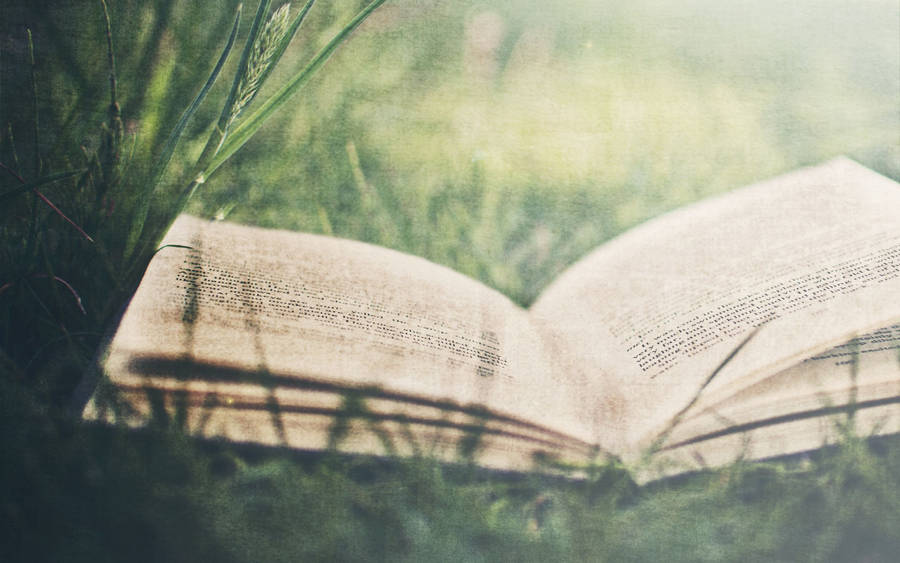 Book, Grass, Paper, Village Wallpaper