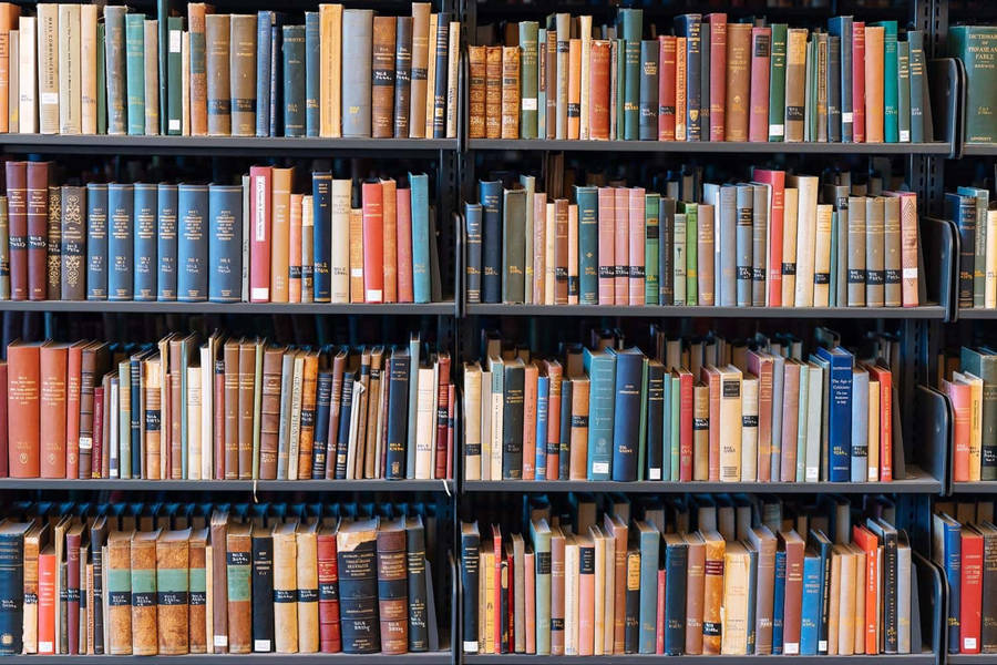 Book Shelves Webex Virtual Background Wallpaper