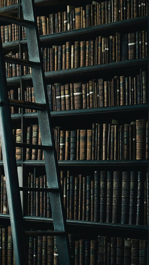 Books And Ladder Iphone Dark Wallpaper