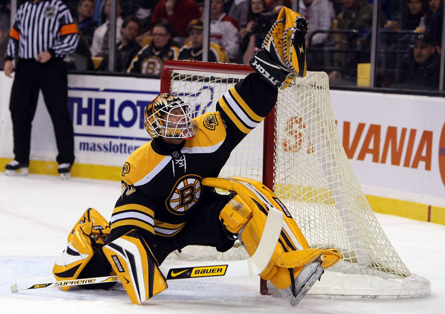 Boston Bruins Goalie Wallpaper