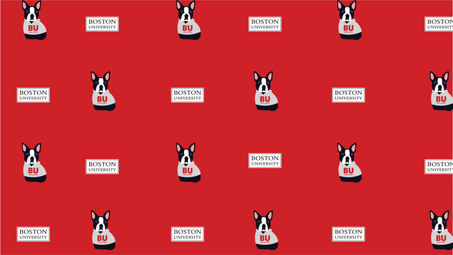 Boston University Terriers Art Wallpaper