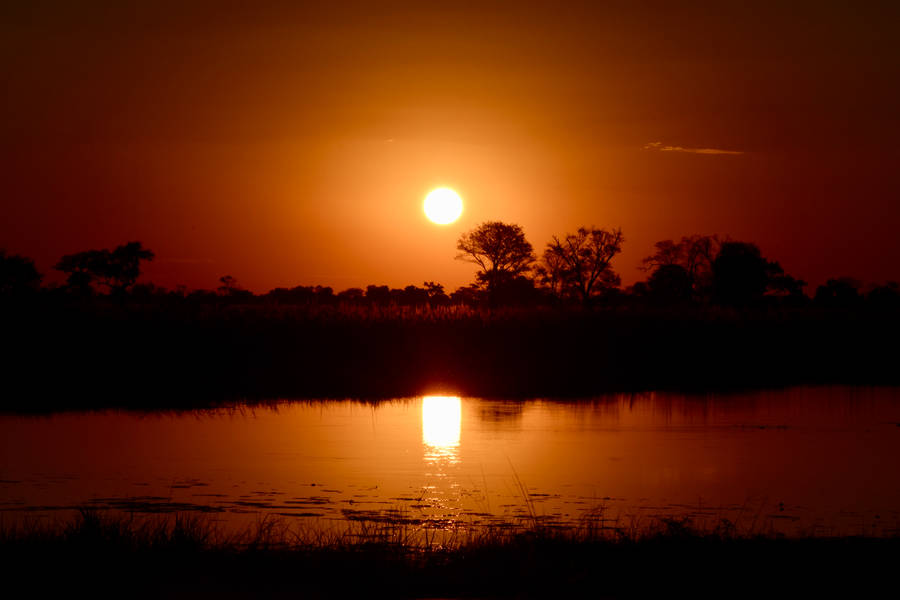Botswana River Sunset Wallpaper