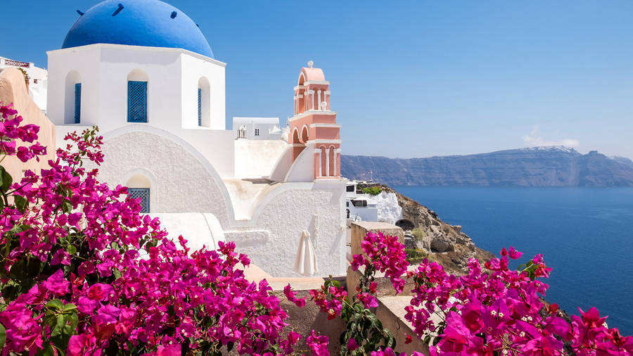 Bougainvillea Blooms By The Lake Wallpaper