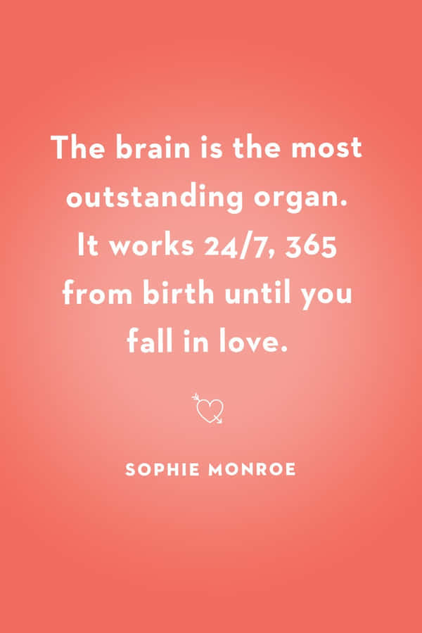 Brain Love Quote Sophie Monroe Wallpaper