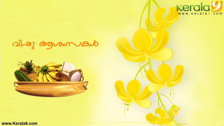 Branch Of Kanikonna Flower Vishu Wallpaper