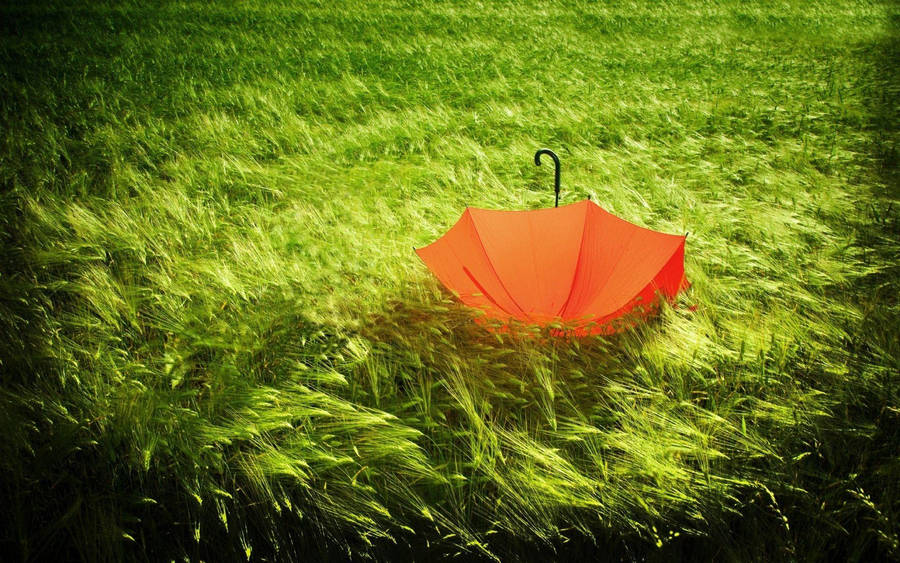 Braving The Windy Weather With A Red Umbrella Wallpaper