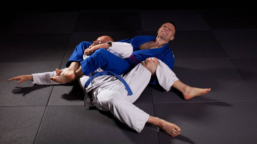 Brazilian Jiu-jitsu Men Martial Arts Wallpaper