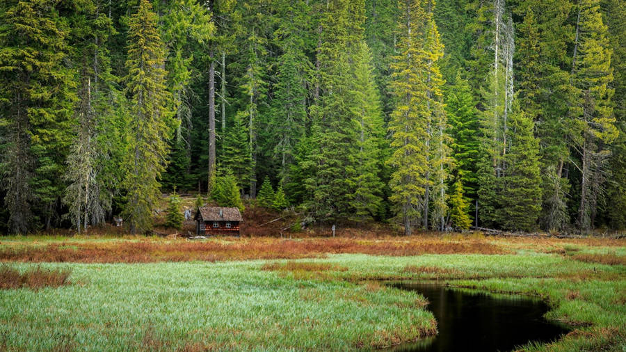 Breathtaking Landscape Of Oregon's Natural Beauty Wallpaper