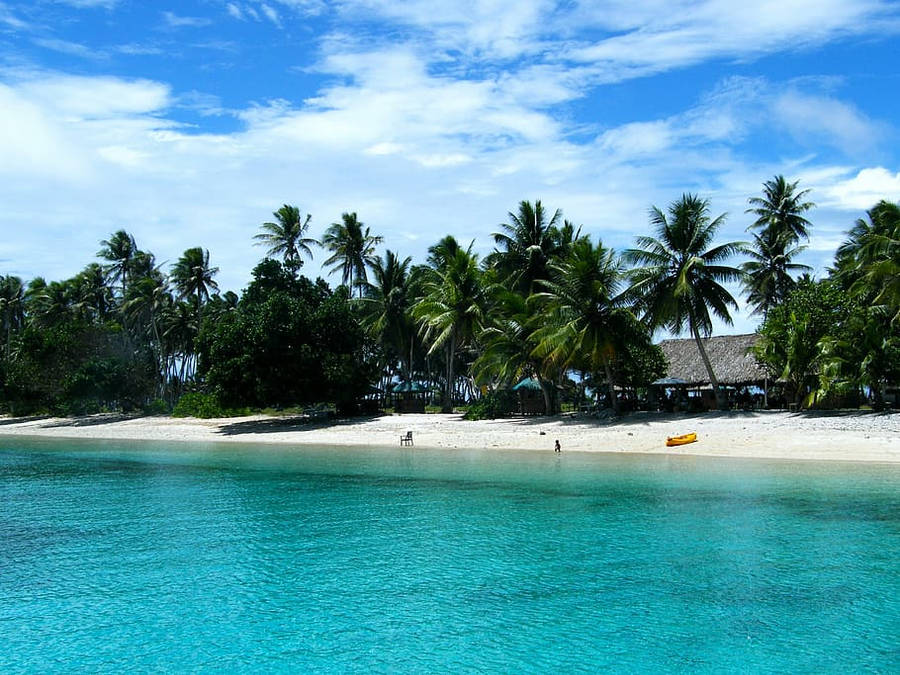 Breathtaking View Of Palm Trees In Majestic Marshall Islands Wallpaper