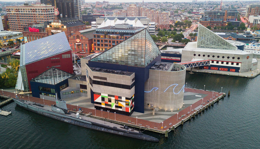 Breathtaking View Of United States National Aquarium Wallpaper