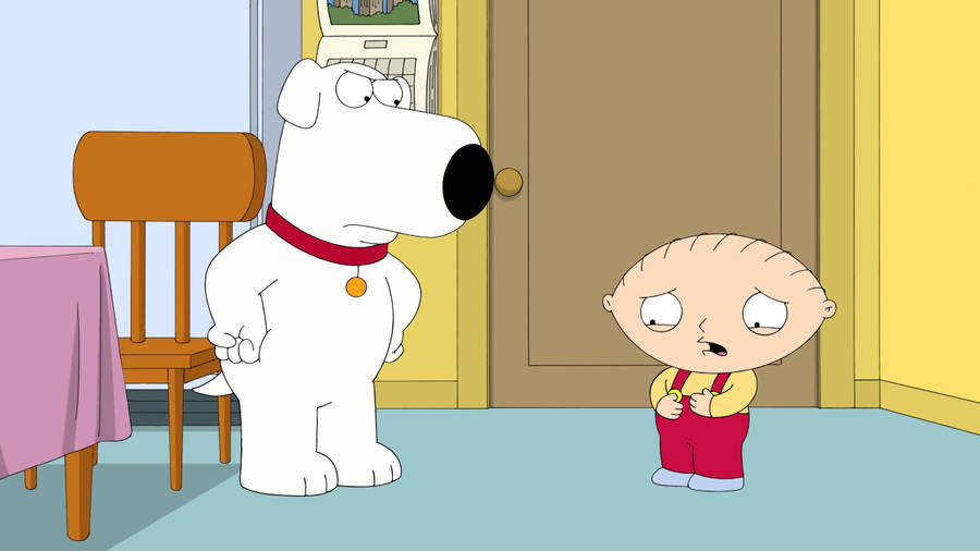 Brian Scolding Stewie Griffin Wallpaper