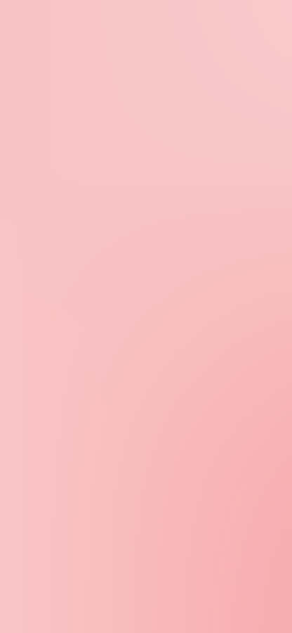Bright And Cheery Pink Solid Color Wallpaper