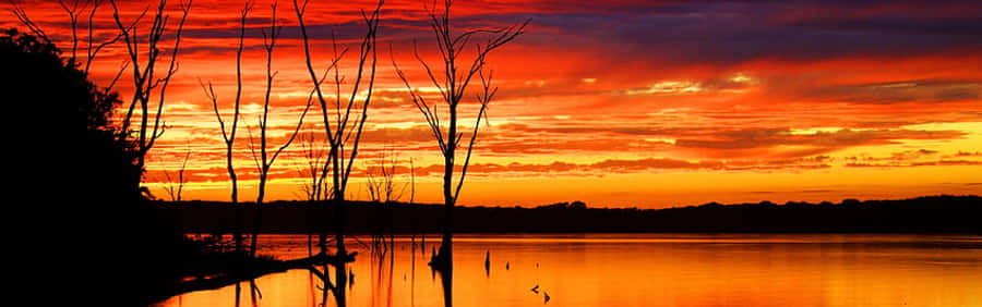 Bright Sunset As A Panoramic Desktop Wallpaper