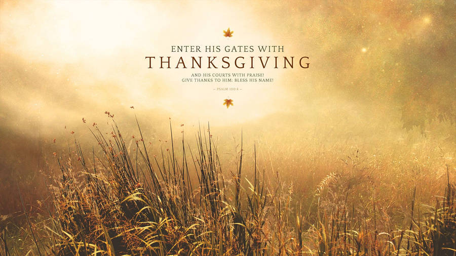 Bright Thanksgiving Field Wallpaper