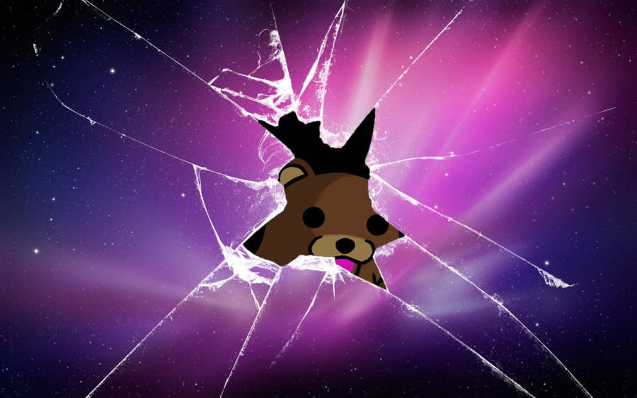 Broken Galaxy Glass With Bear Wallpaper