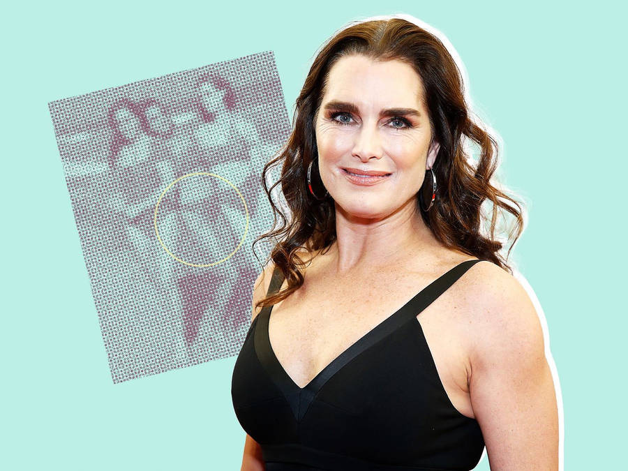 Brooke Shields Famous Actress Wallpaper