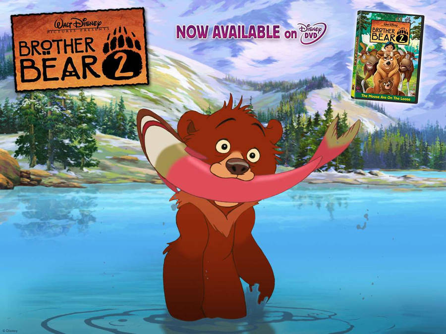 Brother Bear 2 Koda Eating Salmon Wallpaper