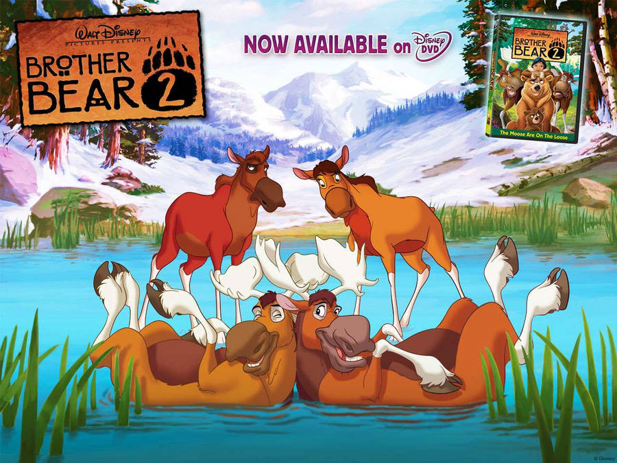 Brother Bear 2 Tuke Rutt Kata Anda Wallpaper