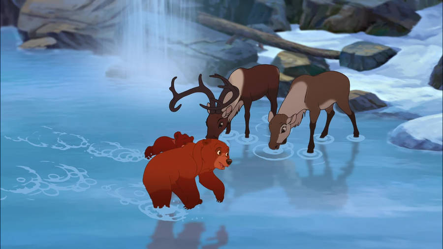 Brother Bear Kenai And Koda Waterfall Wallpaper