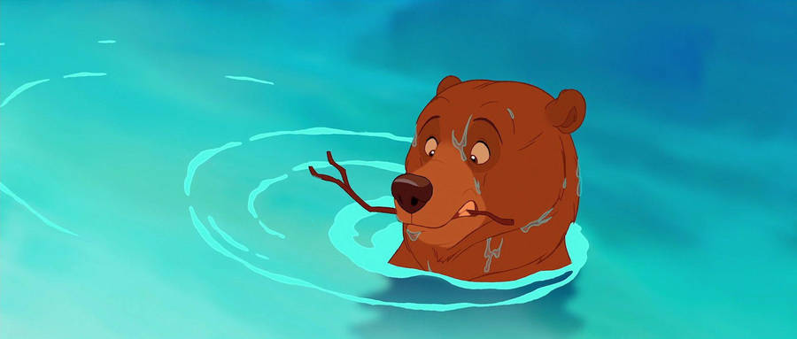 Brother Bear Kenai Swims With Twig Wallpaper