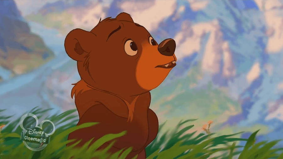 Brother Bear Koda Hiding In Grass Wallpaper