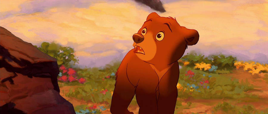 Brother Bear Koda Shocked Look Wallpaper