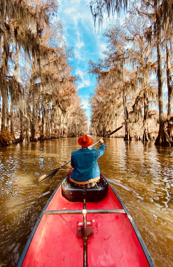 Brown And Red River View Wallpaper