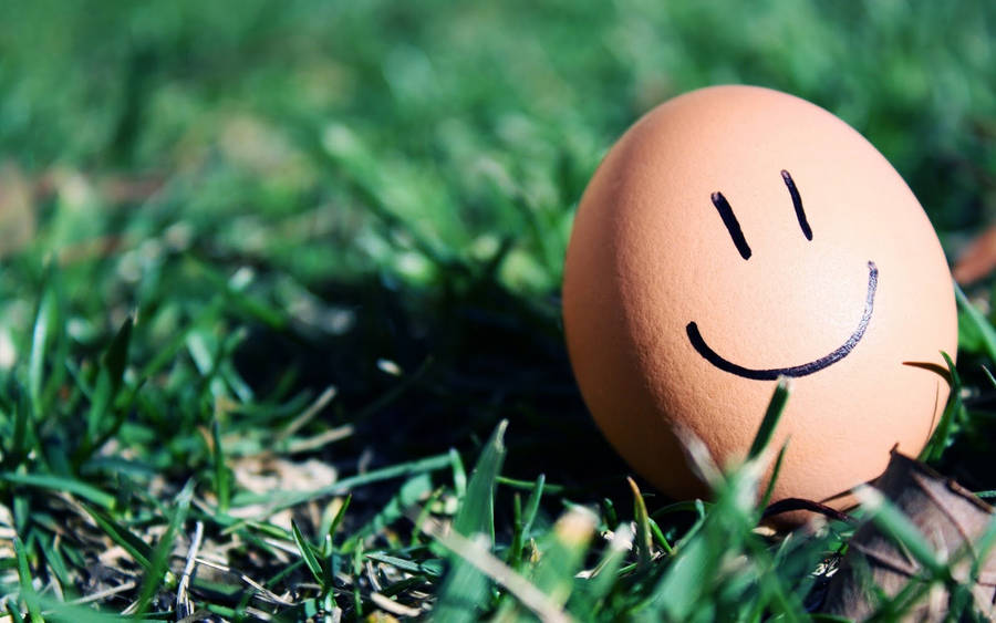 Brown Egg Smile Wallpaper