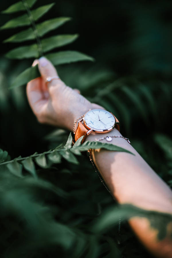 Brown Ladies Watch Photography Wallpaper