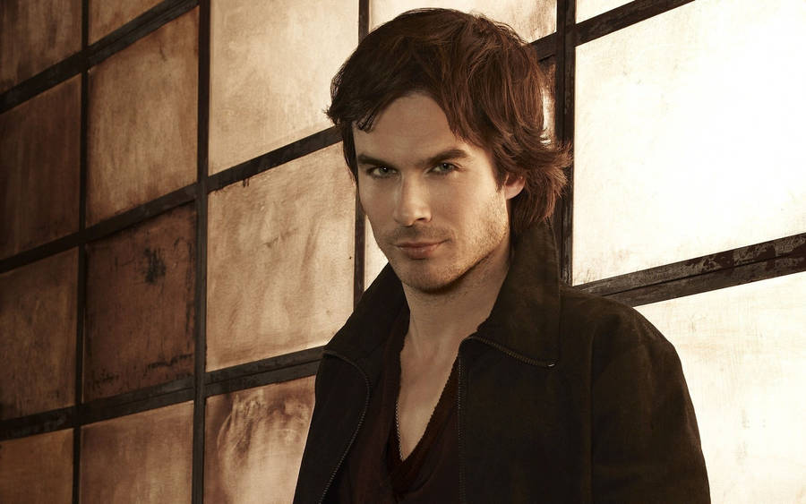 Brunette Ian Somerhalder Wallpaper