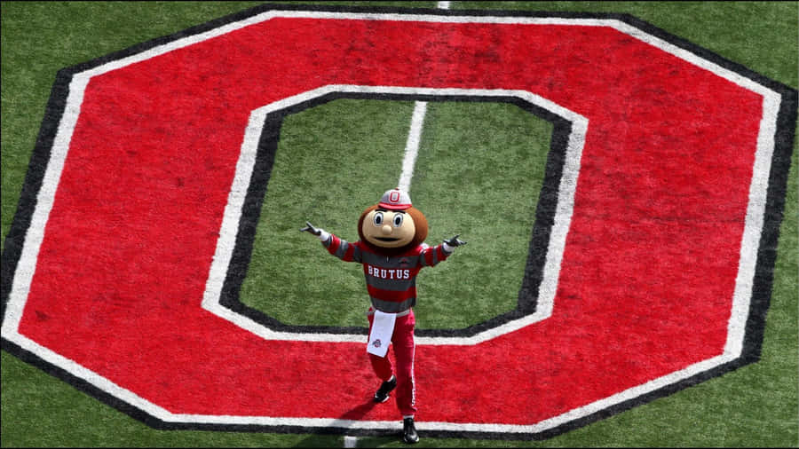 Brutus Buckeye Ohio State Football Team Mascot Wallpaper