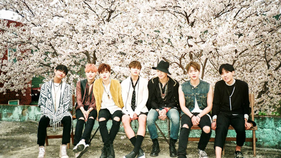 Bts With Cherry Blossoms Wallpaper