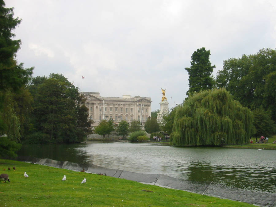 Buckingham Palace River Wallpaper