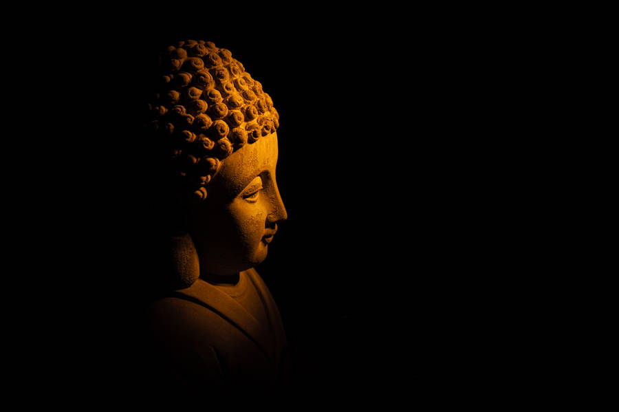 Buddha Broad Light Photography Wallpaper
